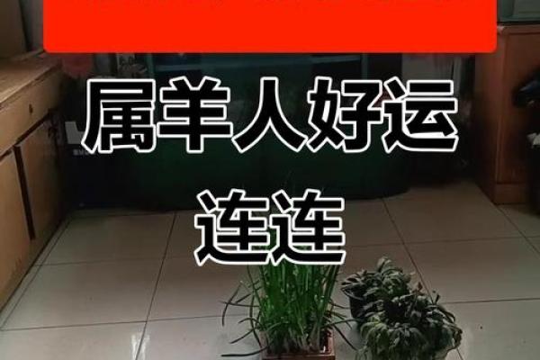 我是属羊的,想问问今天打麻将财运怎么样?适合投资理财或者做生意吗? 我是属羊的,想问问今天打麻将财运怎么样?适合投资理财或者做生意吗?