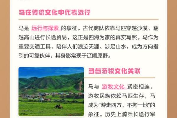 四海为家最准确生肖动物 哪个生肖动物代表四海为家