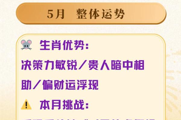 鼠的第一贵人是谁？揭秘助你转运的生肖贵人