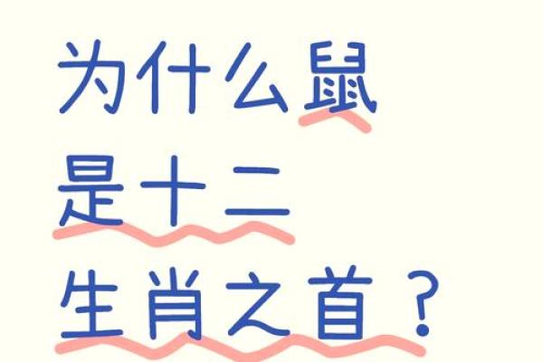 胆小如鼠指是哪个生肖 胆小如鼠打一生肖答案