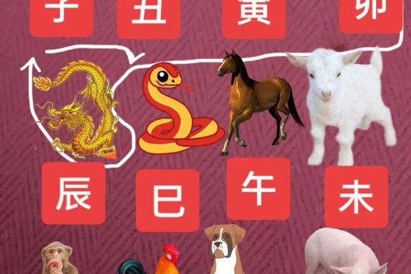 十二生肖北方生肖有哪些 北方生肖查询方法 十二生肖北方生肖有哪些 北方生肖查询方法
