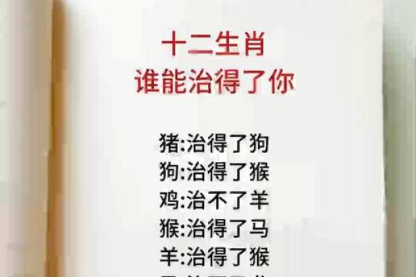十二生肖中哪个属相最冷酷无情 铁石心肠的动物解析