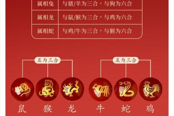 属蛇人36岁后财运大变？5个聚财方法揭秘