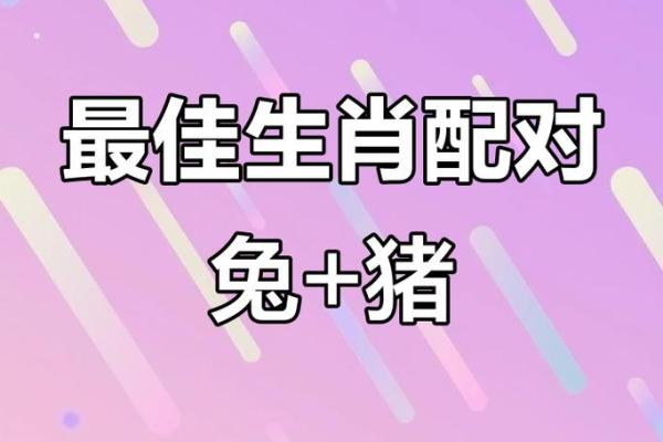 属兔跟什么属相相克 属兔和属鸡结婚合适吗