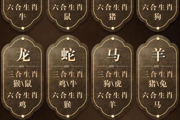 生肖卡2023生肖表 2023年生肖卡对照表