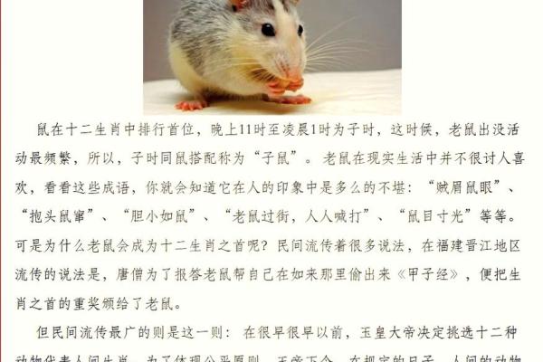 十二生肖中哪个最容易恼羞成怒 性格分析