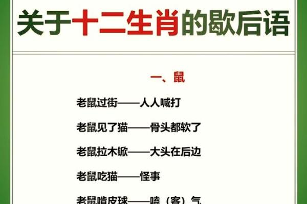 呆若木鸡打一个生肖  词语释义解释落实