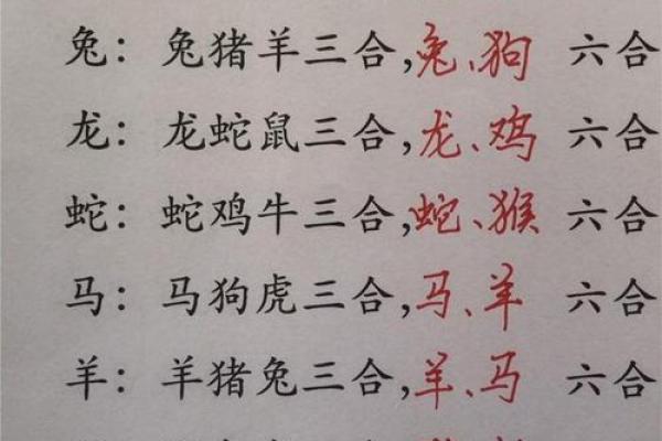 三姑六婆代表哪个生肖怎么解释