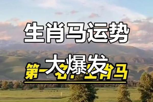 属马人今年财运和事业运如何，有什么转运建议？