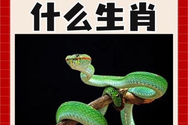 寒风刺骨形容哪个生肖的性格特点最贴切