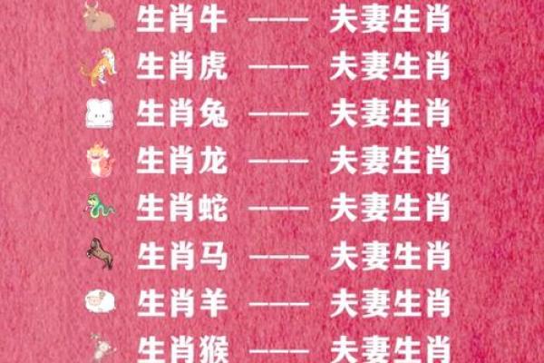 细心的生肖是哪一生肖 十二生肖哪个最细心 细心的生肖是哪一生肖 十二生肖哪个最细心