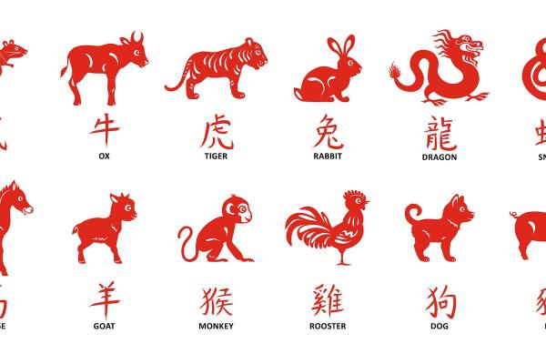 东西生肖是指哪几个生肖 东西生肖具体包括哪些