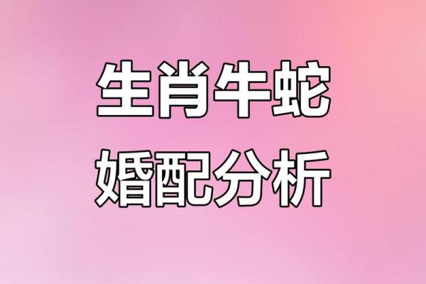属狗的人和属牛的人结婚后会幸福吗，性格合不合？