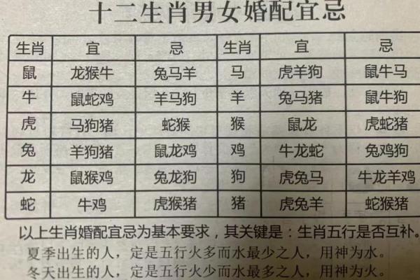 妾妇之道在十二生肖中象征什么动物，如何解读其含义