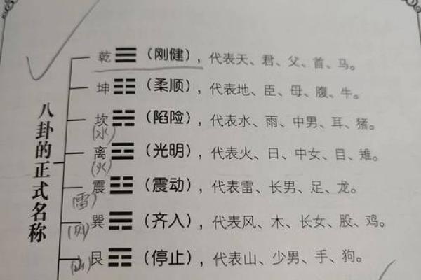 大公无私打一生肖  词语释义解释落实