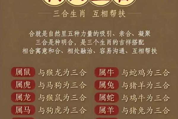 家有喜事是什么生肖  词语释义解释落实