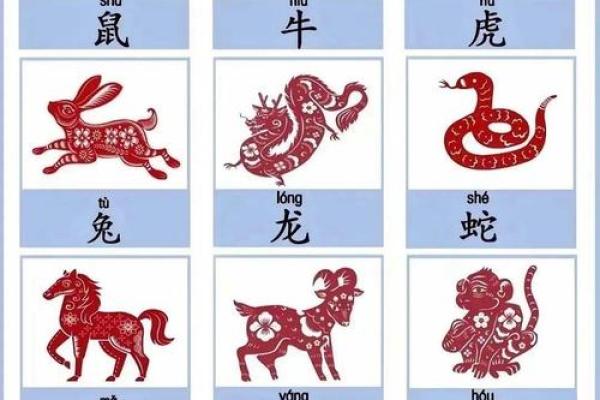 左右逢源的动物 十二生肖中哪个最会社交