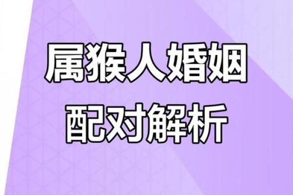 从生肖配对角度分析，属猴人与属鸡人婚配的优缺点详解