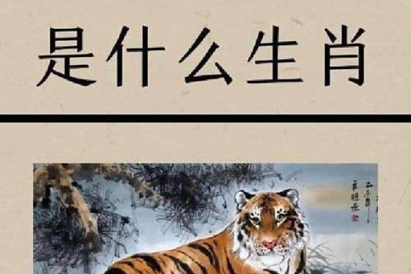属狗和属牛的婚姻配对指数高吗？性格合不合？