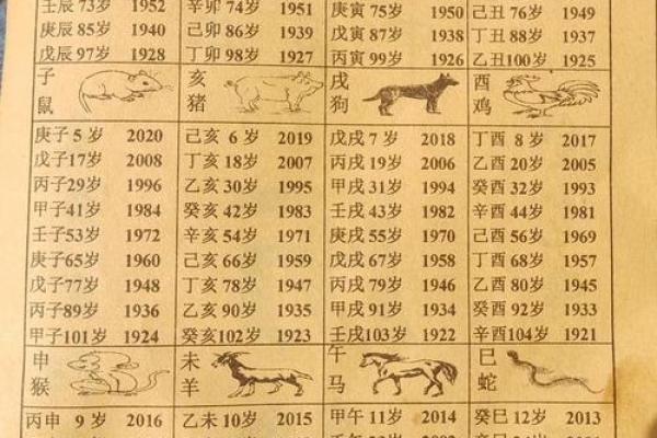 大江东去在十二生肖中对应什么动物解析