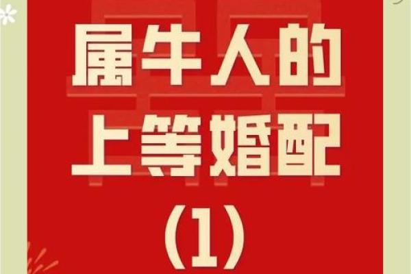 属牛和属鸡的夫妻组合在财运上会有怎样的发展