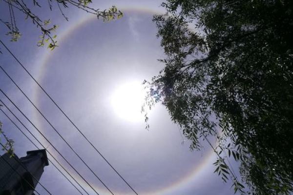 月涌山湖三更雨是什么生肖 月涌山湖三更雨打一生肖 月涌山湖三更雨是什么生肖 月涌山湖三更雨打一生肖
