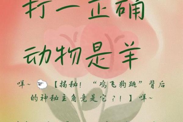 “胡天八月即飞雪”打一个生肖动物 胡天八月即飞雪谜底生肖解析