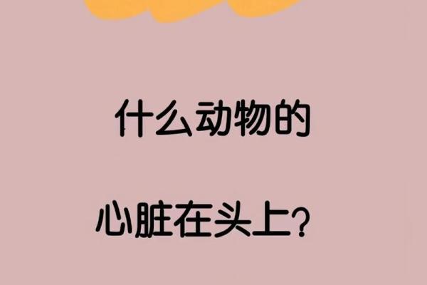 天下无双谜底是什么动物 天下无双打一动物正确答案