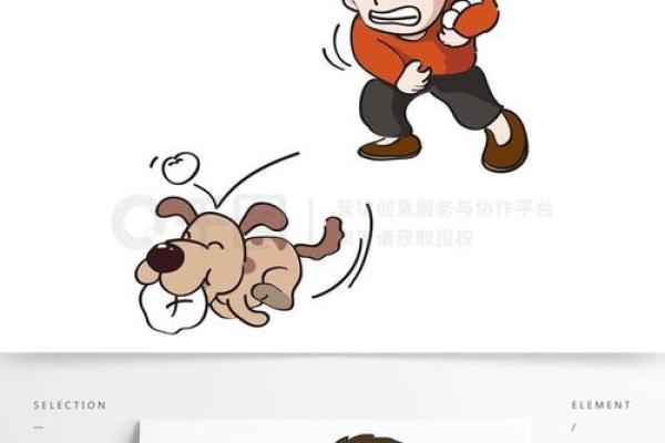 肉包打狗正确生肖是 肉包打狗生肖含义解析