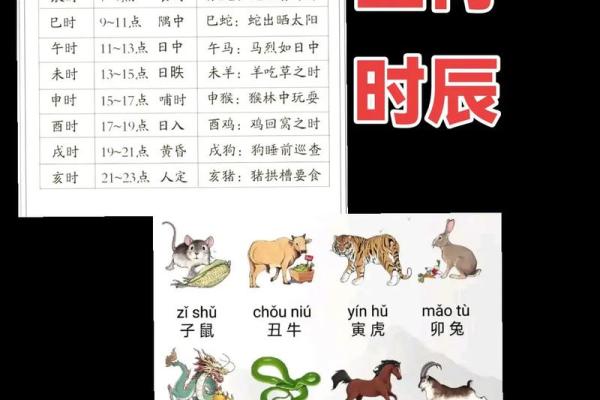 辰字适合哪个生肖 辰字取名最佳生肖搭配 辰字适合哪个生肖 辰字取名最佳生肖搭配