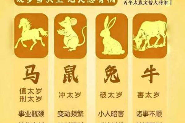 直道守节打一生肖 直道守节对应生肖查询 直道守节打一生肖 直道守节对应生肖查询