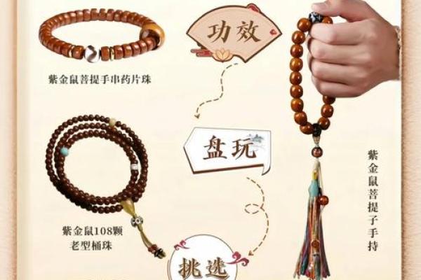 属鼠人今日适合投资理财吗哪些方向能带来好收益