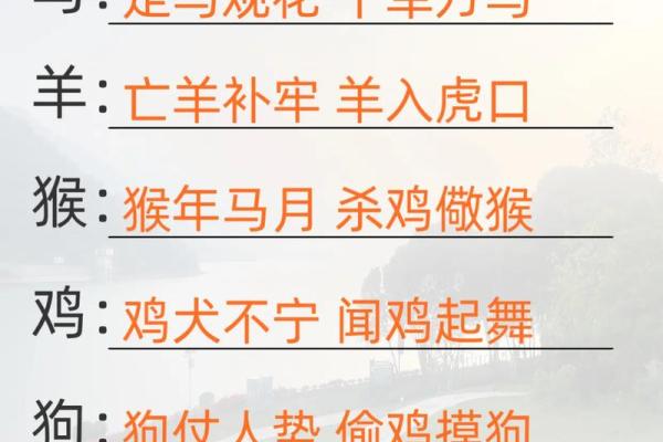 千军万马打一生肖 千军万马指什么生肖