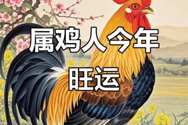 属鸡的人最适合与哪些属相合作才能事业顺利？