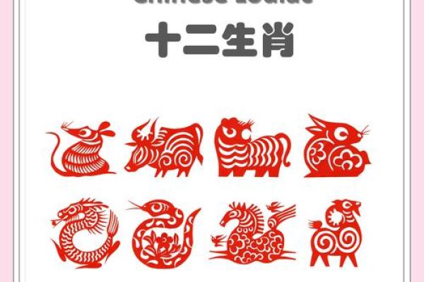 风华正茂的生肖是什么 风华正茂指哪个生肖