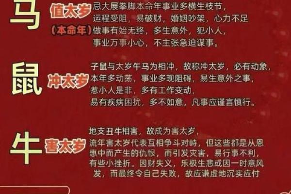2026年属龙本命年需要注意什么?事业财运健康感情全面解析 2026年属龙本命年需要注意什么?事业财运健康感情全面解析
