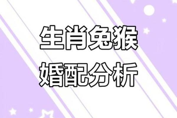 属猴的人最适合与哪个属相结婚，婚姻最幸福？