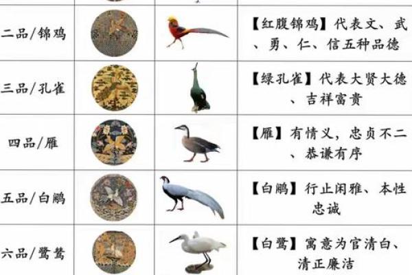 福寿天成打一准确动物 福寿天成指什么动物