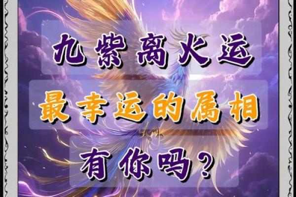 哪些生肖逢九紫离火运不顺？这样化解最有效